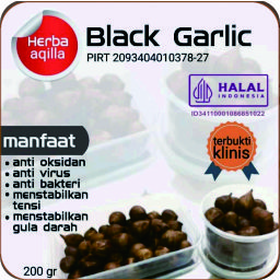 Herba Aqilla - Black Garlic